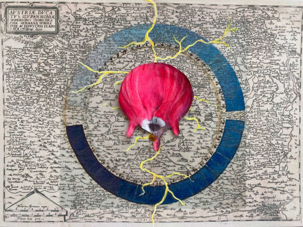 Sensorial Topographies and flying udder, Barbara Anna Husar