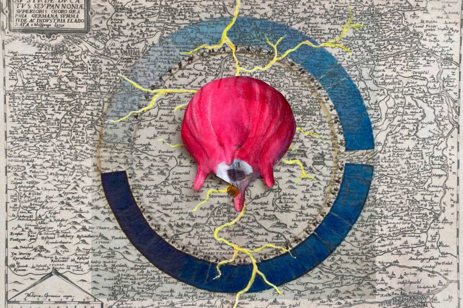Sensorial Topographies and flying udder, Barbara Anna Husar