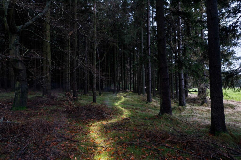 Watershed at Tirschenreuth, Germany